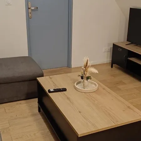 Cosy 1 Avec Parking Au Coeur Du Centre * オルテズ